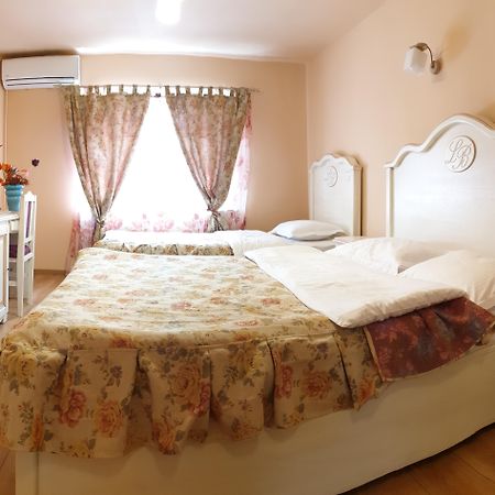 Leaganul Bucovinei Guest House Suczawa Zewnętrze zdjęcie