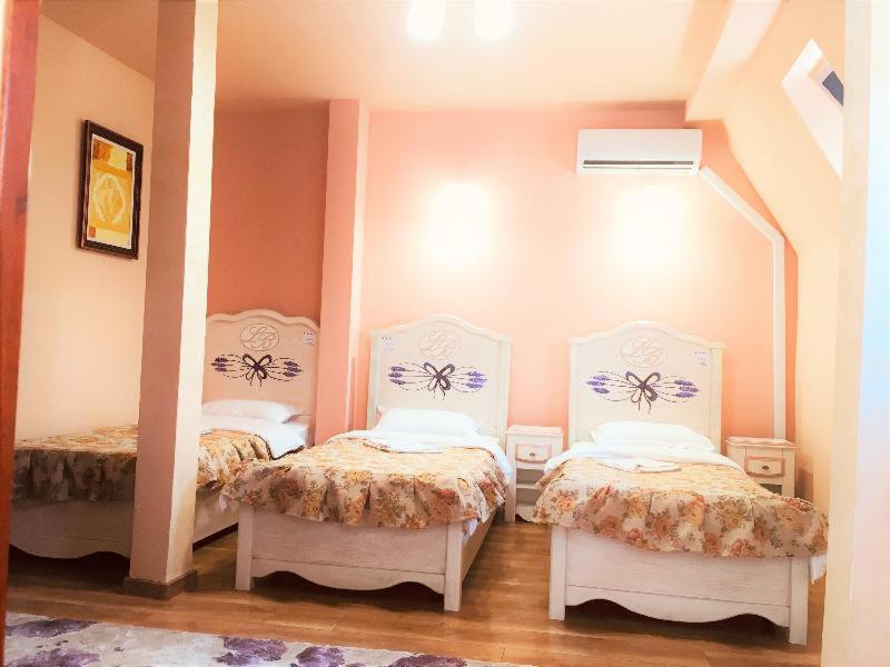 Leaganul Bucovinei Guest House Suczawa Pokój zdjęcie