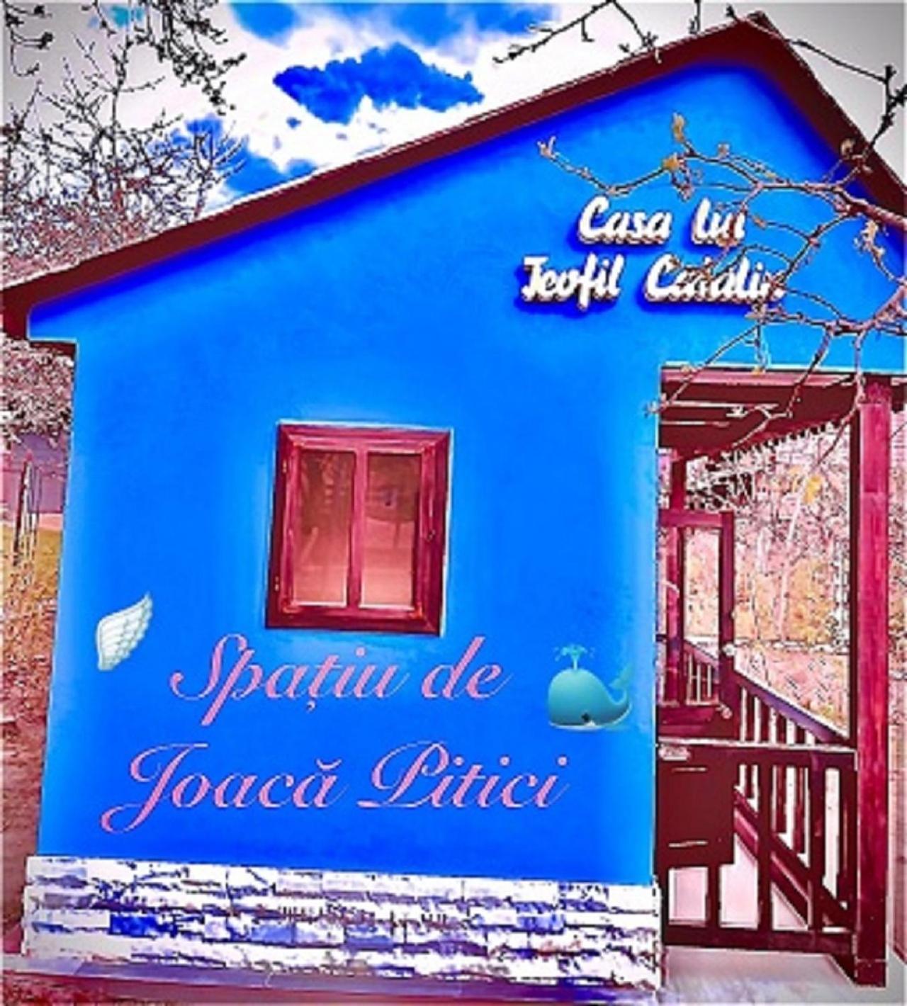 Leaganul Bucovinei Guest House Suczawa Zewnętrze zdjęcie
