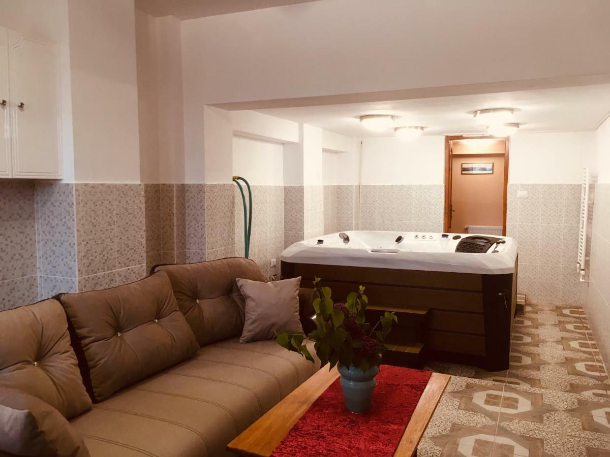 Leaganul Bucovinei Guest House Suczawa Zewnętrze zdjęcie